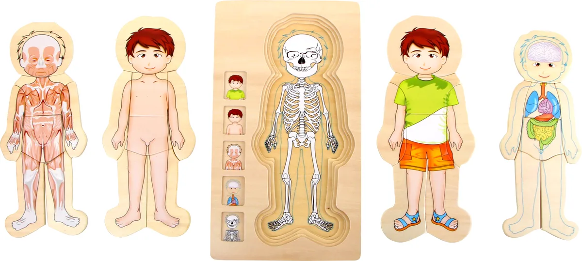 small foot Puzzle in Ebenen, Anatomie/Junge - Bild 1