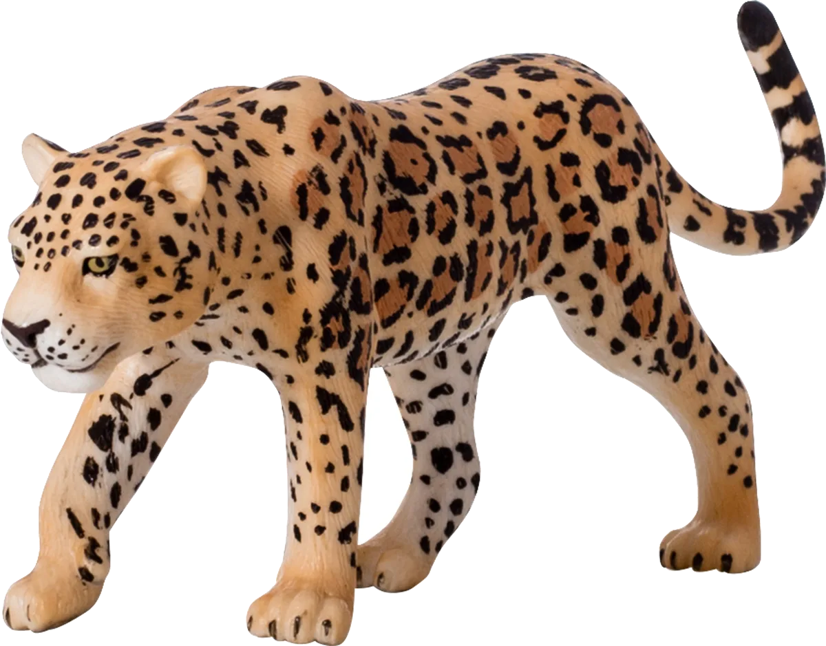Mojo Leopard - Bild 1