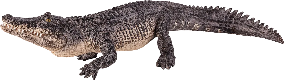 Mojo Krokodil mit Beweglichen Kiefern - Bild 1
