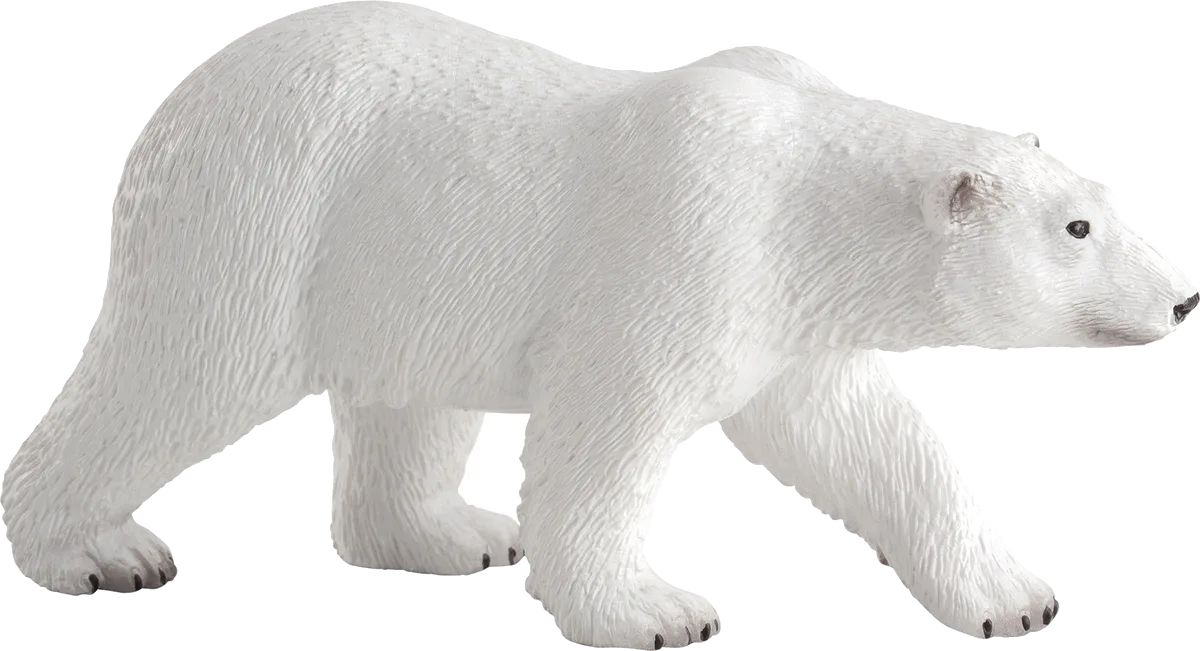 Mojo Eisbär - Bild 1