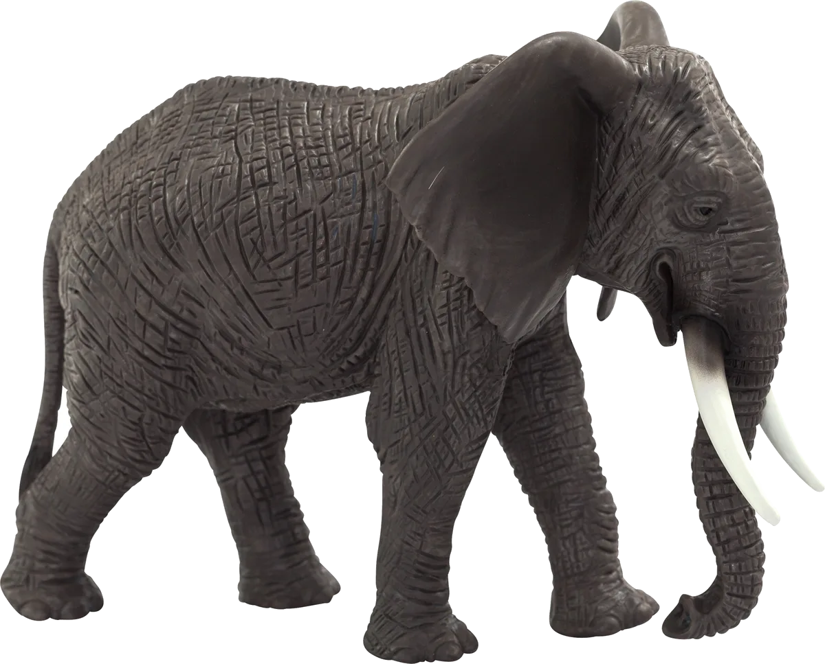 Mojo Afrikanischer Elefant - Bild 1
