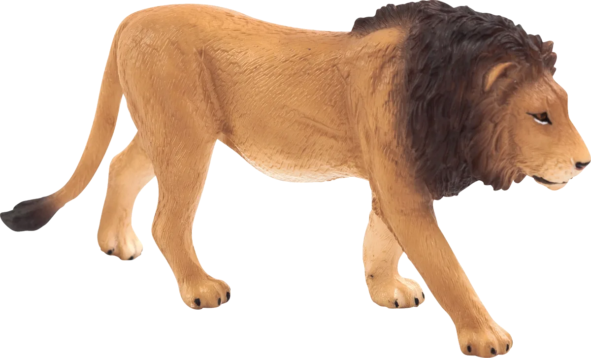 Mojo Löwe - Bild 1