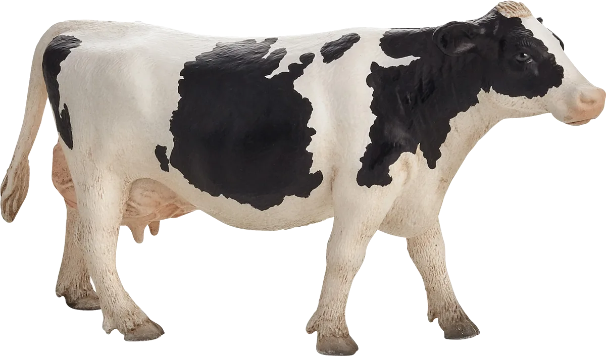 Mojo Holstein Kuh - Bild 1
