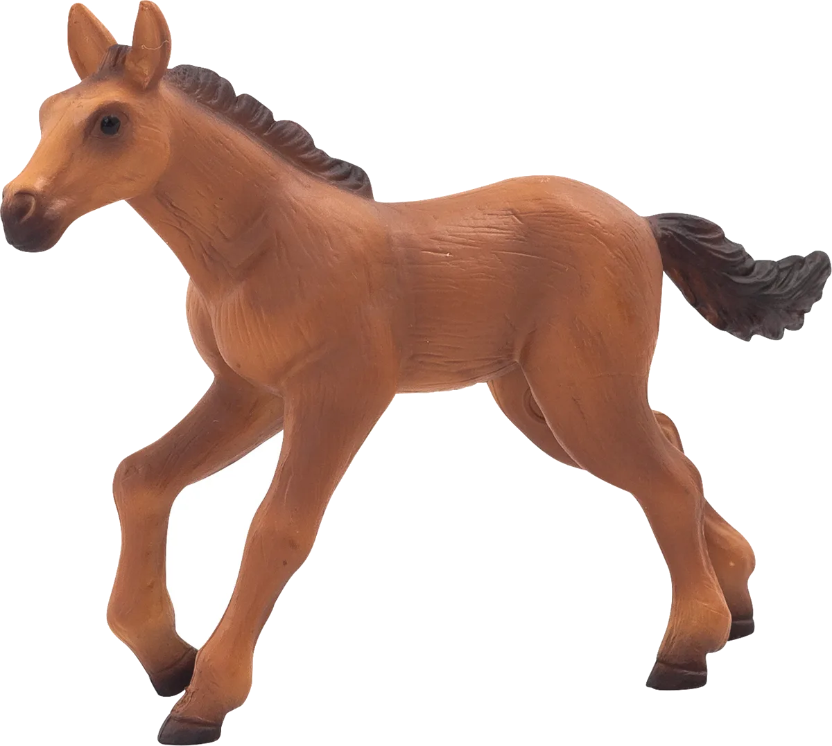 Animal Planet Hannoveraner Pfohlen, Laufend - Bild 1