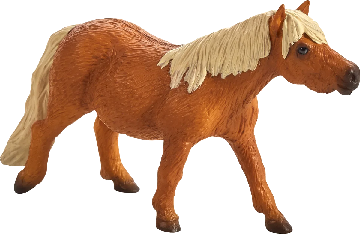 Mojo Shetland Pony - Bild 1