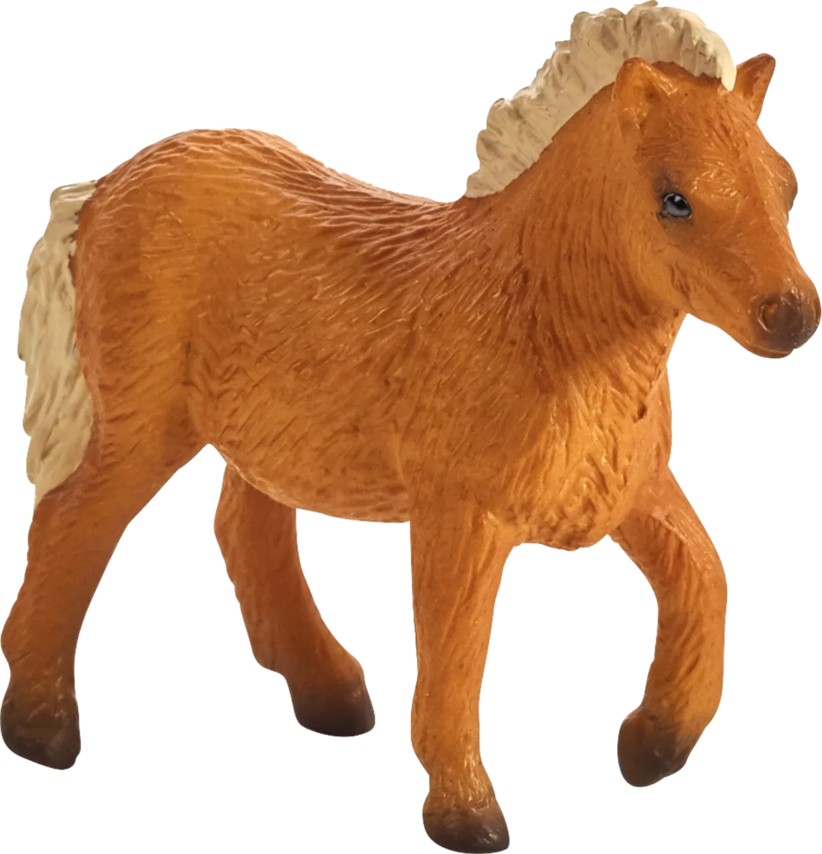 Mojo Shetland Pony Fohlen - Bild 1