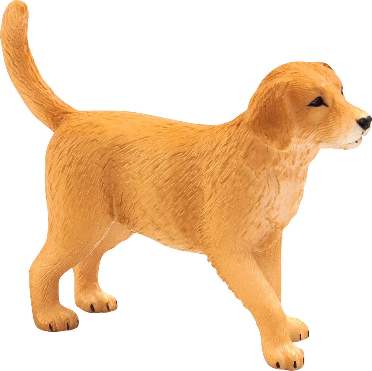 Mojo Golden Retriever Hundewelpen - Bild 1