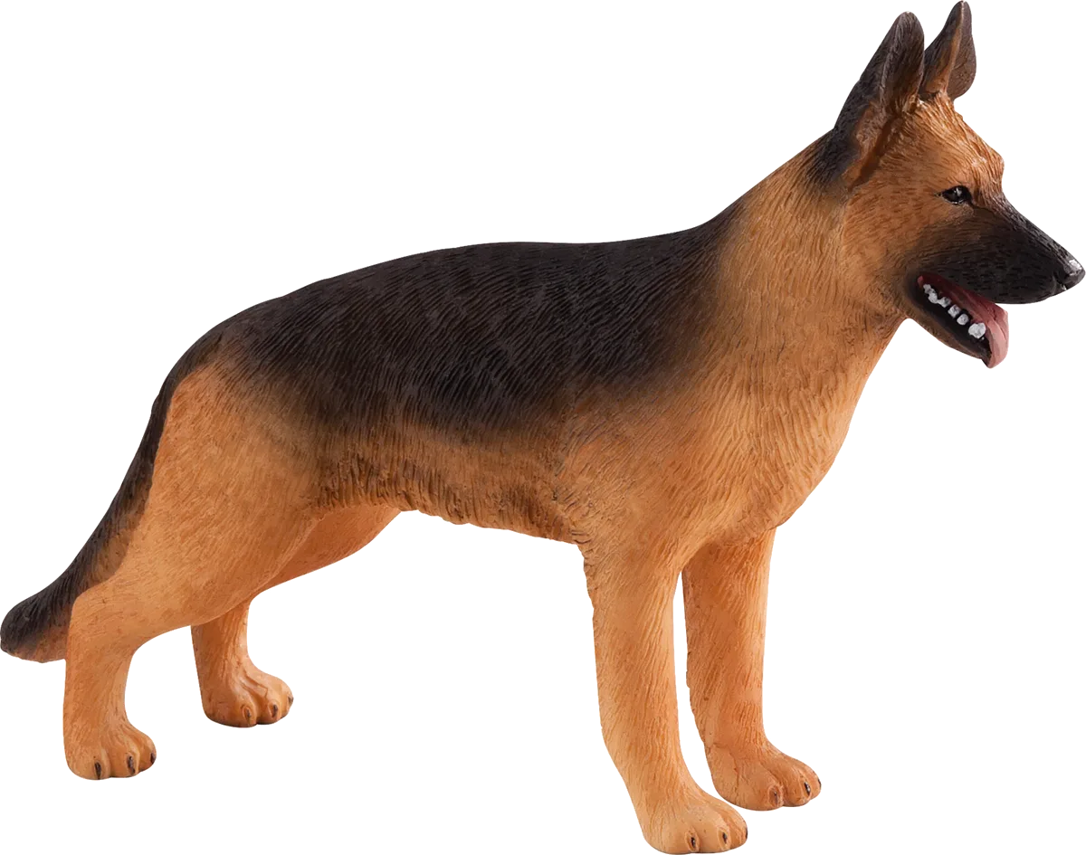 Mojo Schäferhund - Bild 1