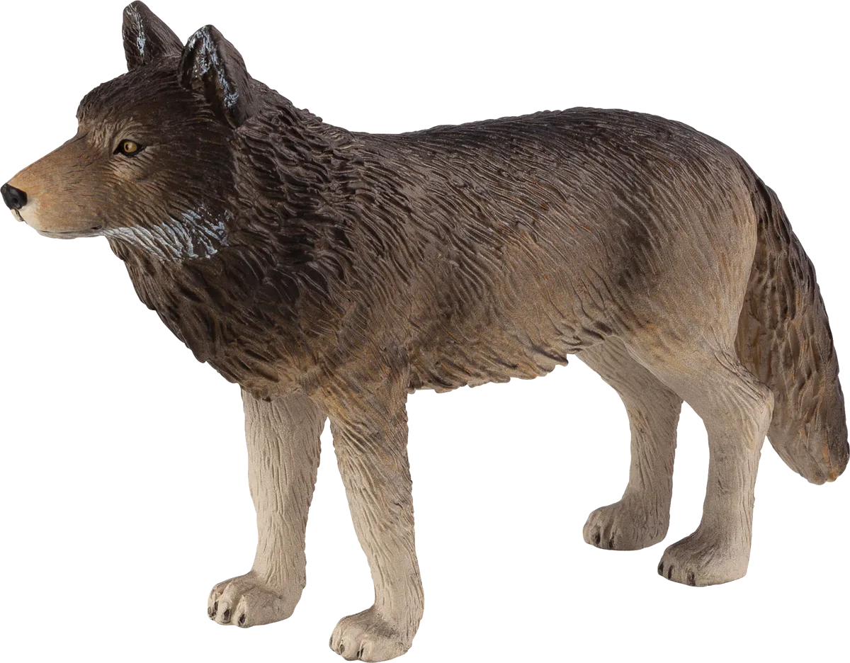 Mojo Wolf, Stehend - Bild 1