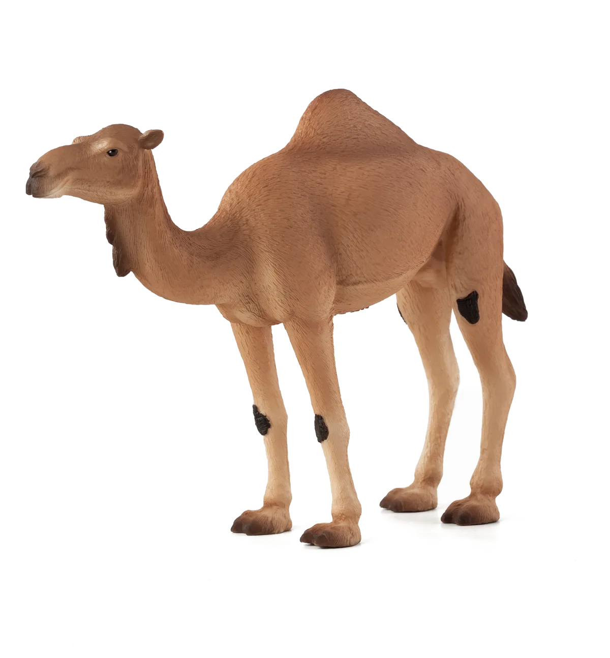 Mojo Arabisches Kamel - Bild 1