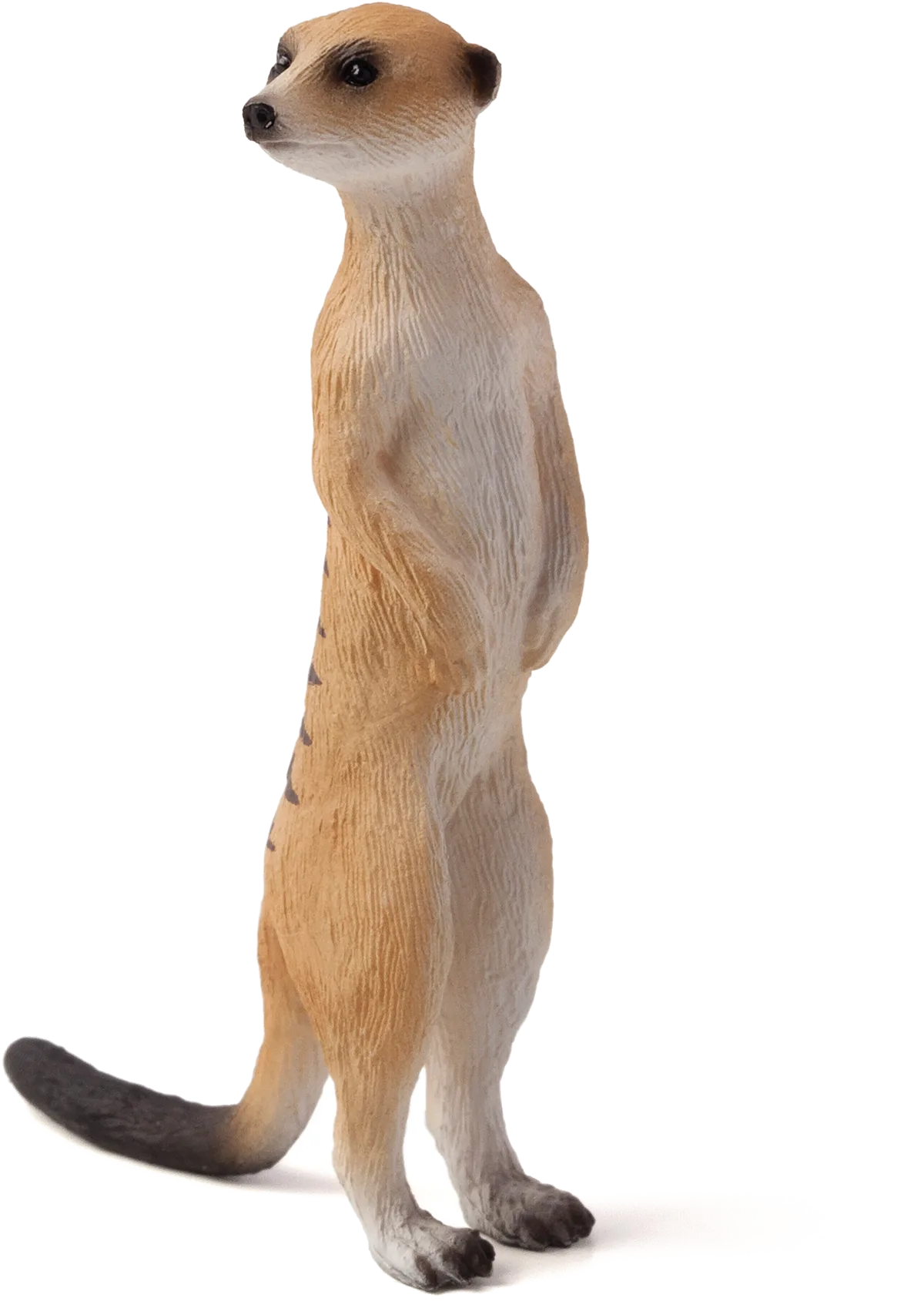 Mojo Erdmännchen - Bild 1