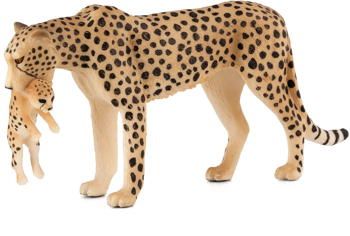 Mojo Gepard mit Jungtiern - Bild 1