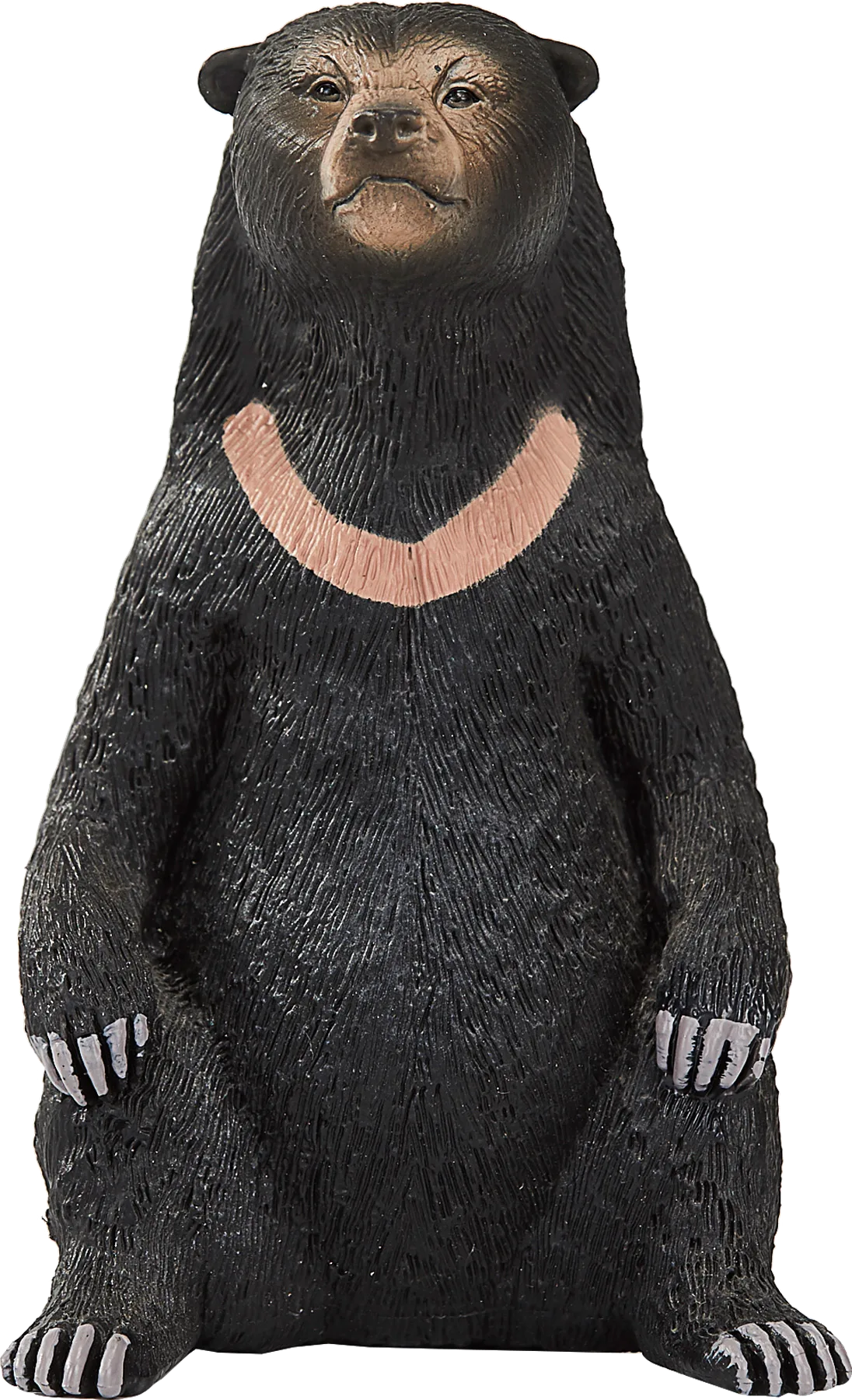 Mojo Sonnenbär - Bild 1