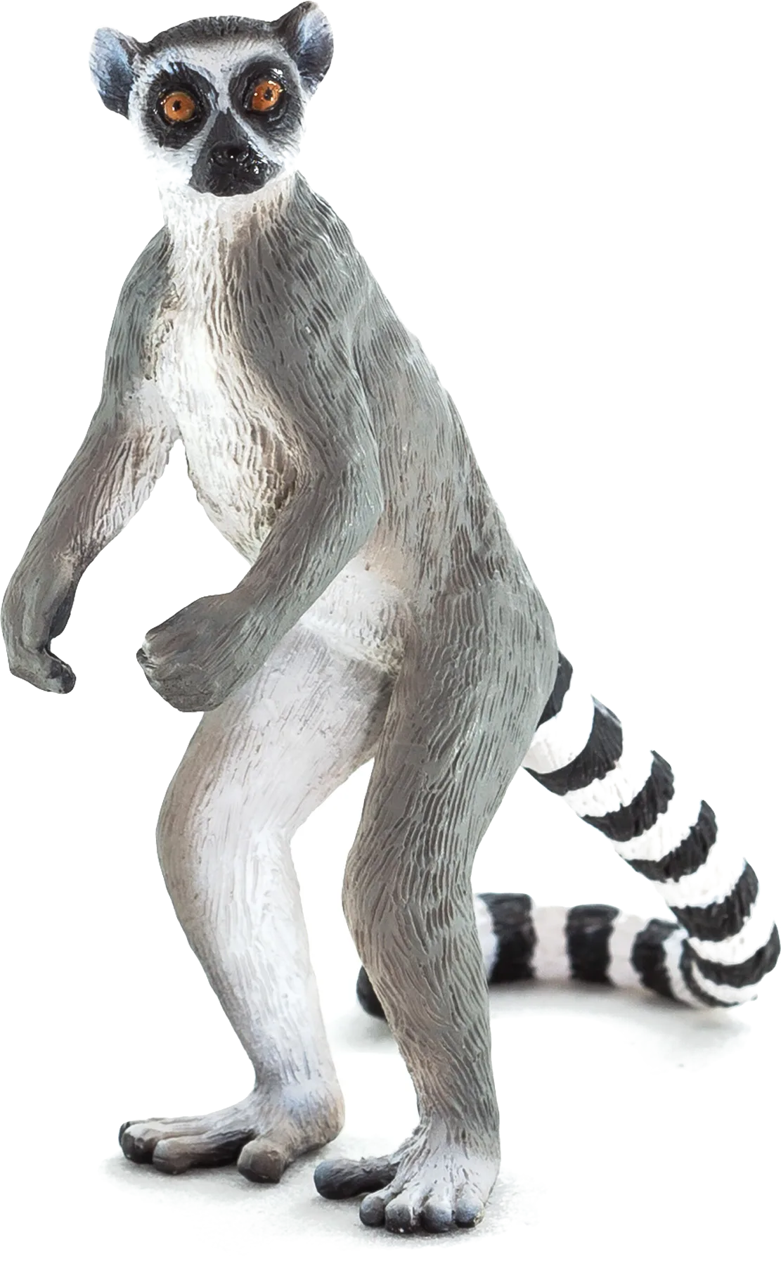 Mojo Ringelschwanz Lemur - Bild 1