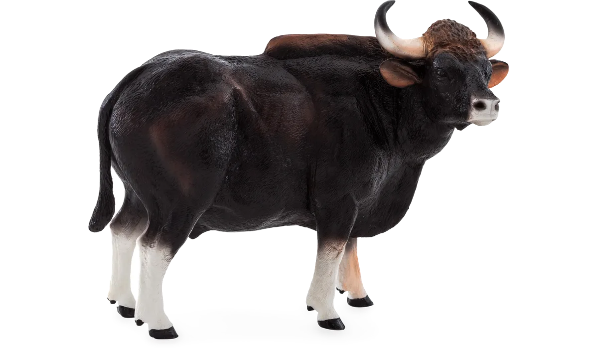Mojo Gaur Stier - Bild 1
