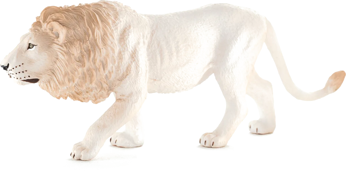 Mojo Weißer Löwe Männchen - Bild 1