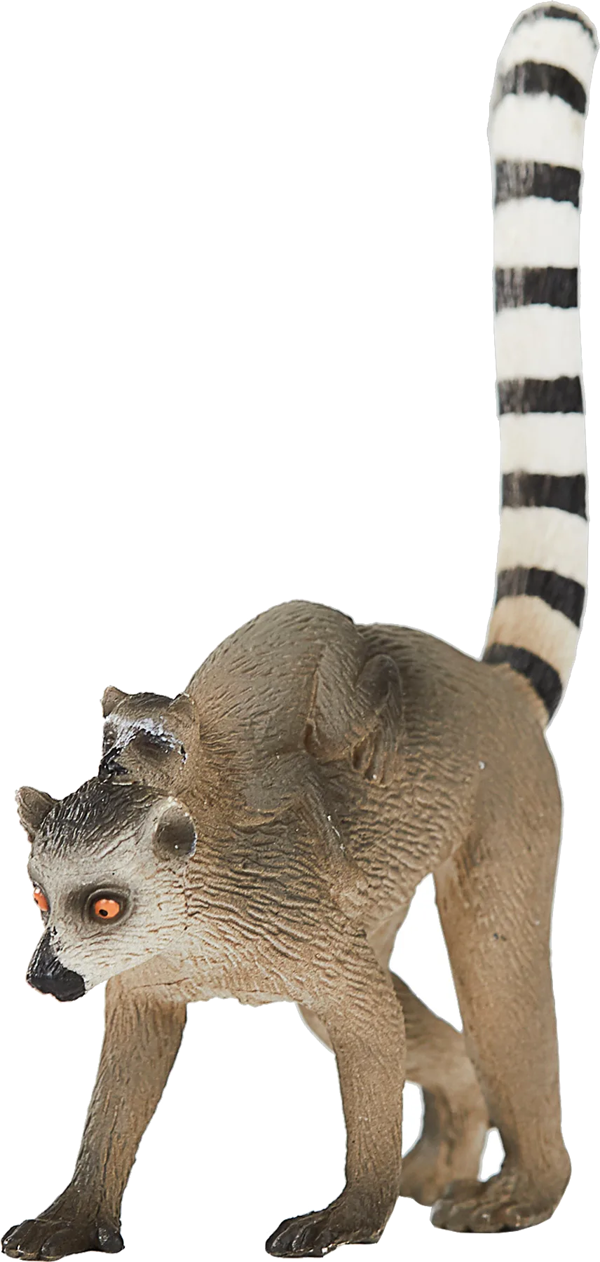 Mojo Lemur mit Jungtier - Bild 1
