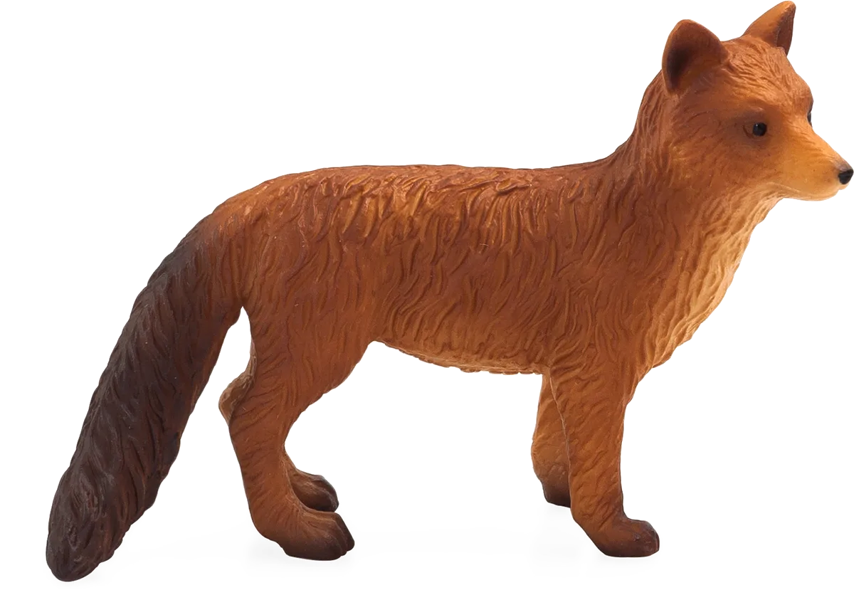 Mojo Rotfuchs - Bild 1