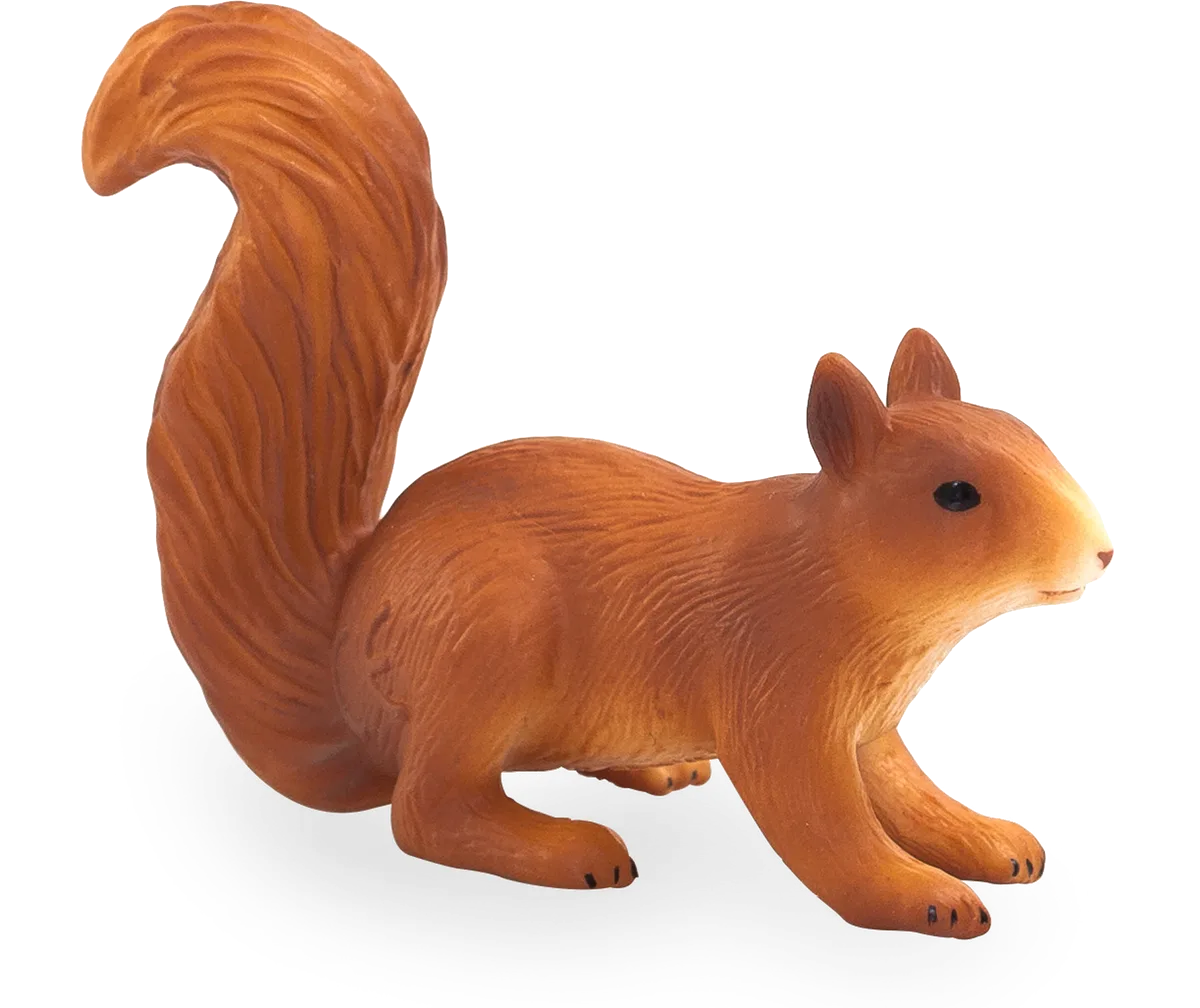 Mojo Eichhörnchen Laufend - Bild 1