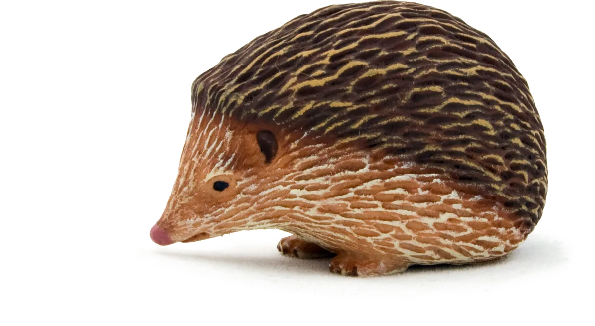 Mojo Igel - Bild 1