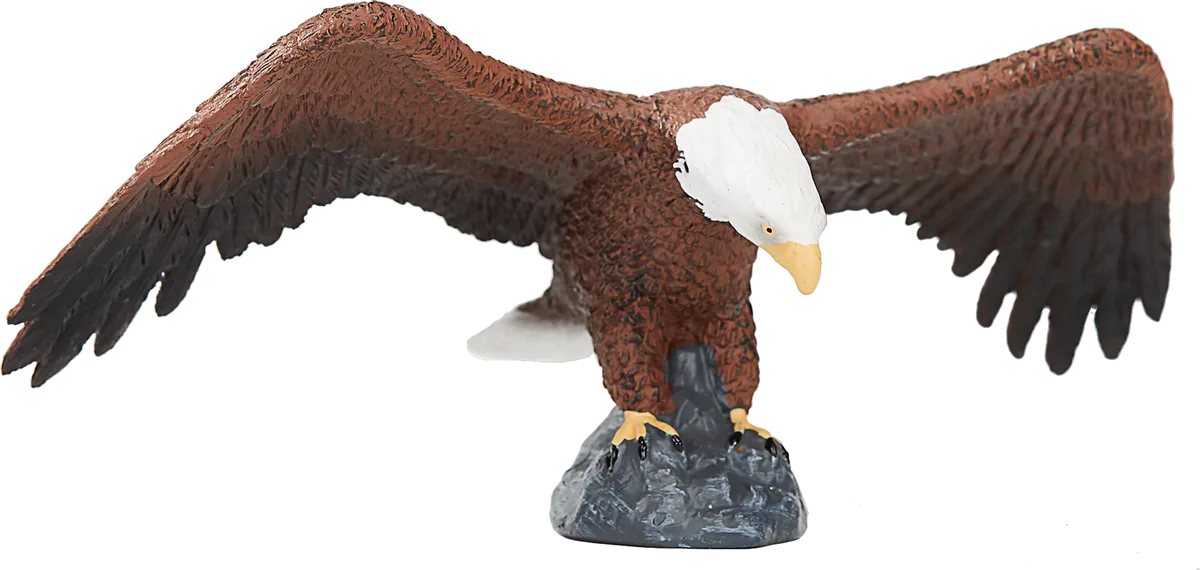Mojo Amerikanischer Weißkopfseeadler - Bild 1