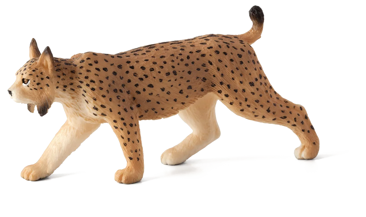 Mojo Iberischer Luchs - Bild 1