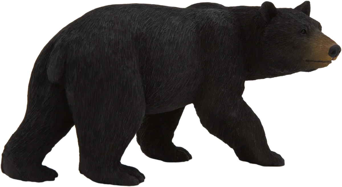 Mojo Amerikanischer Schwarzbär - Bild 1