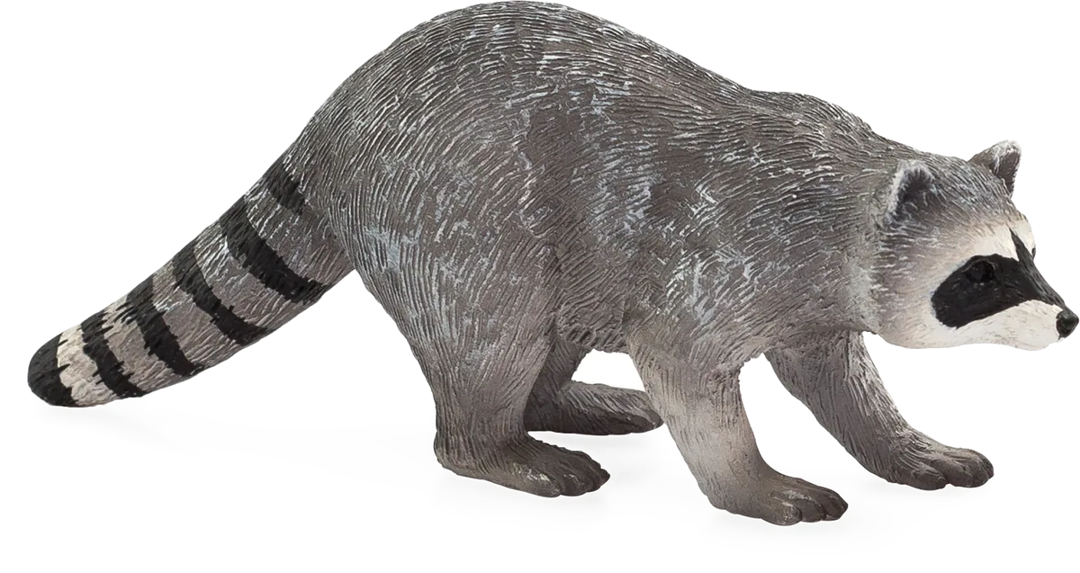Mojo Waschbär - Bild 1