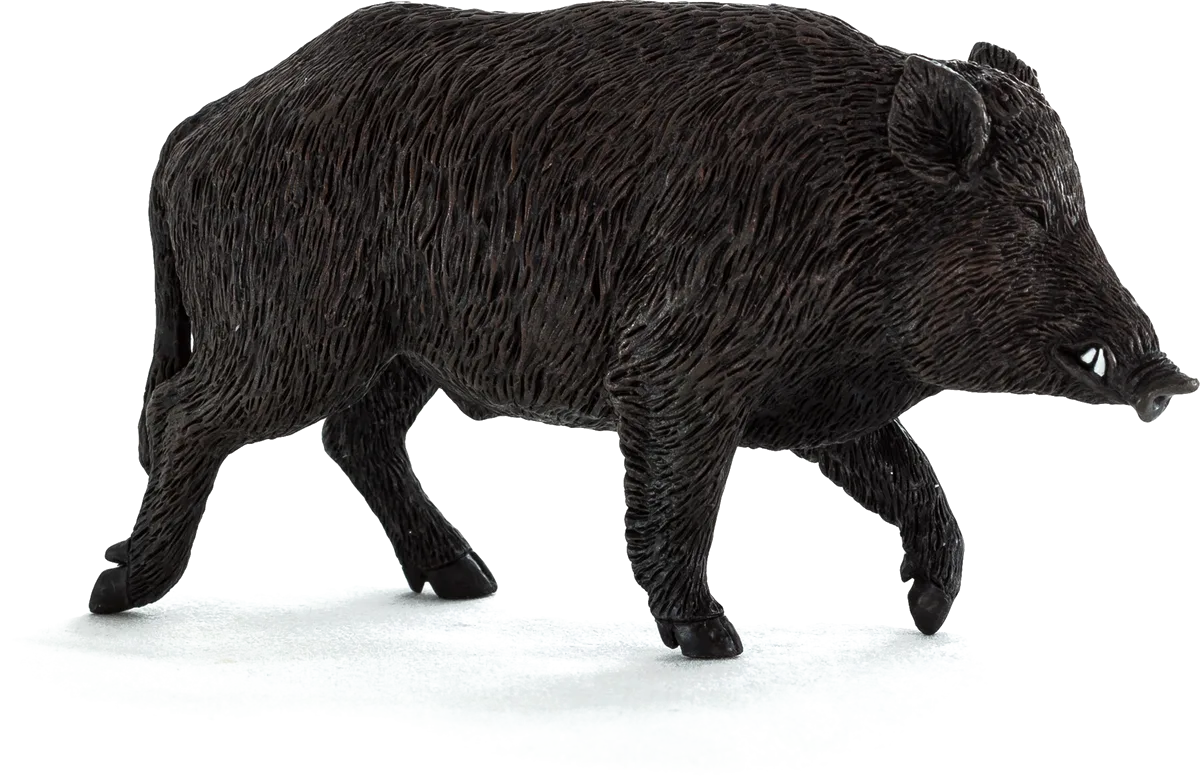 Mojo Wildschwein - Bild 1