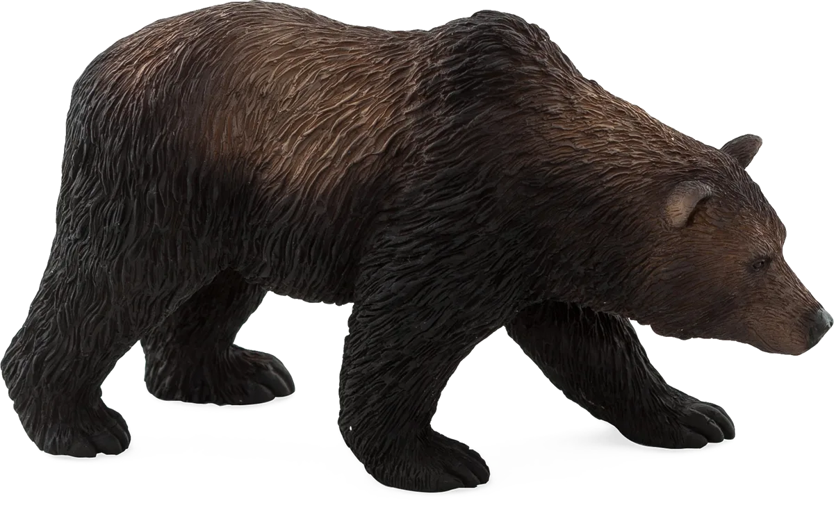 Mojo Grizzly Bär - Bild 1