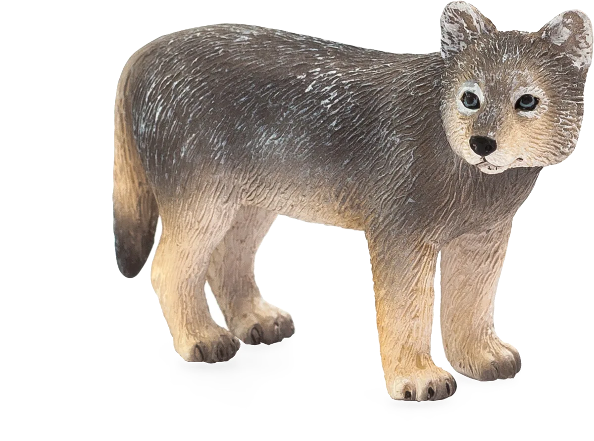 Mojo Wolf Jungtier - Bild 1