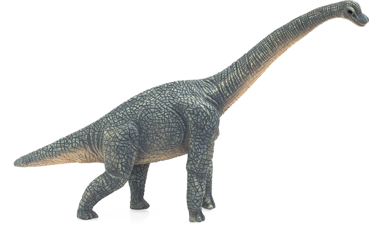 Mojo Brachiosaurus - Bild 1