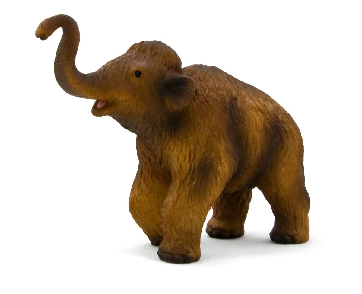 Mojo Wollmammut Jungtier - Bild 1