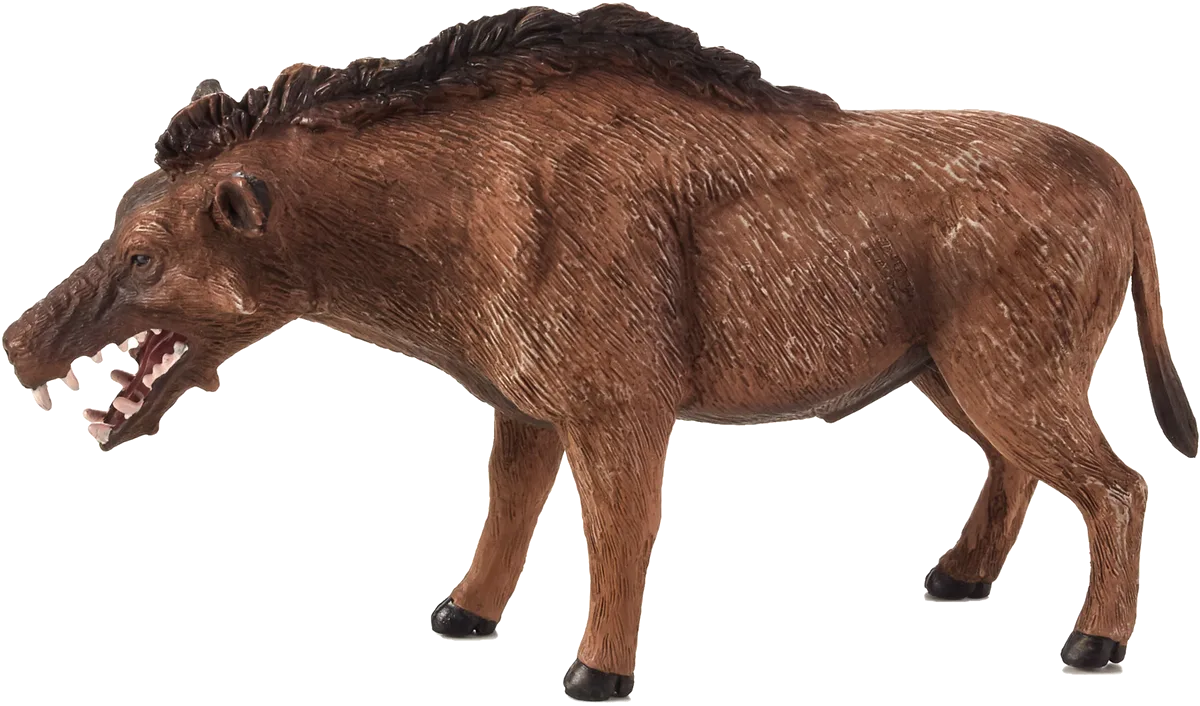 Mojo Entelodont Daeodon - Bild 1