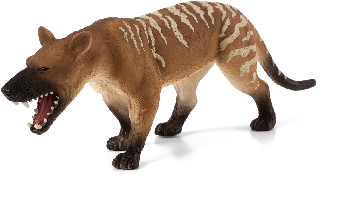 Mojo Hyaenodon Gigas - Bild 1
