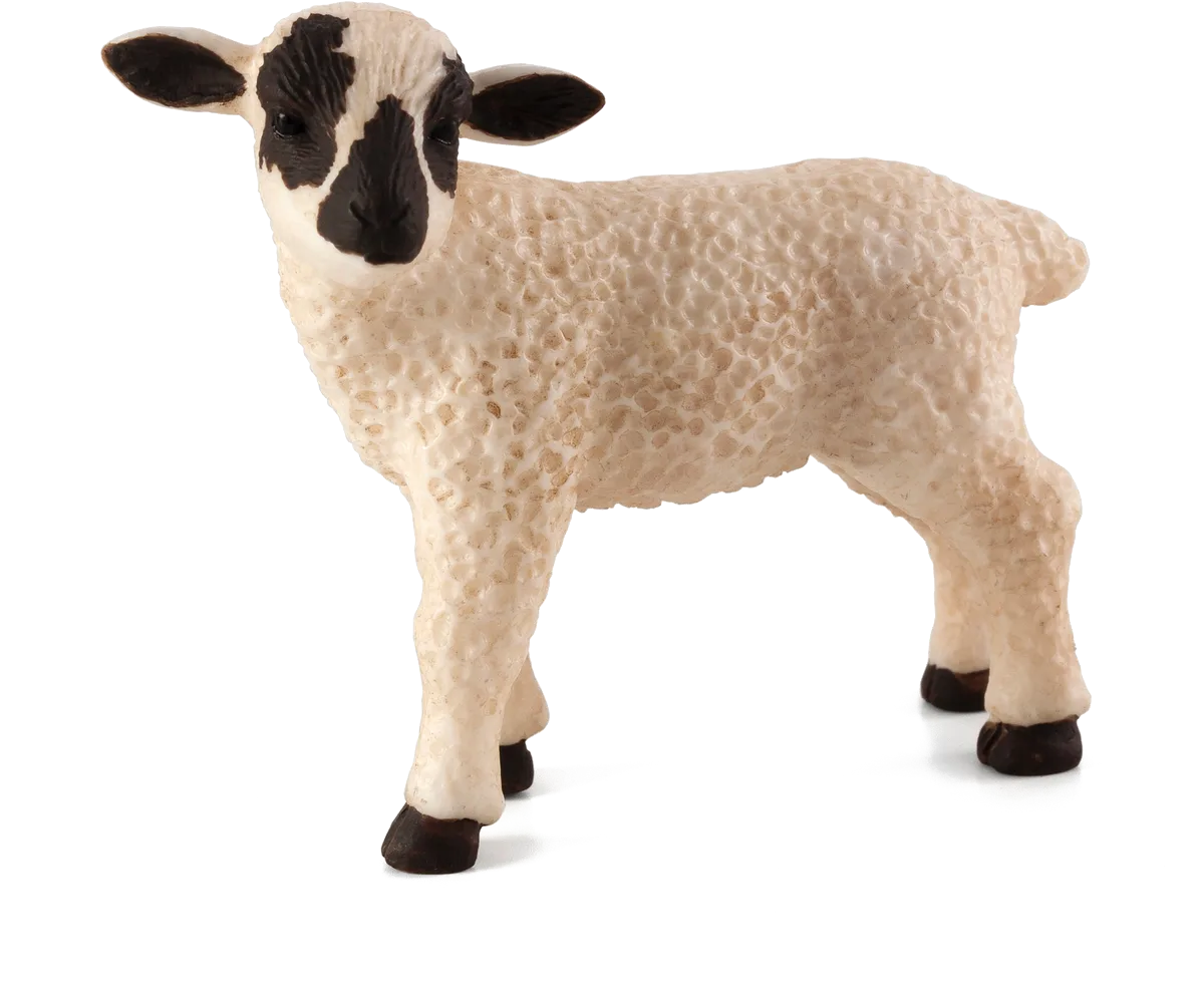 Mojo Lamm, Stehend/Schwarzer Kopf - Bild 1