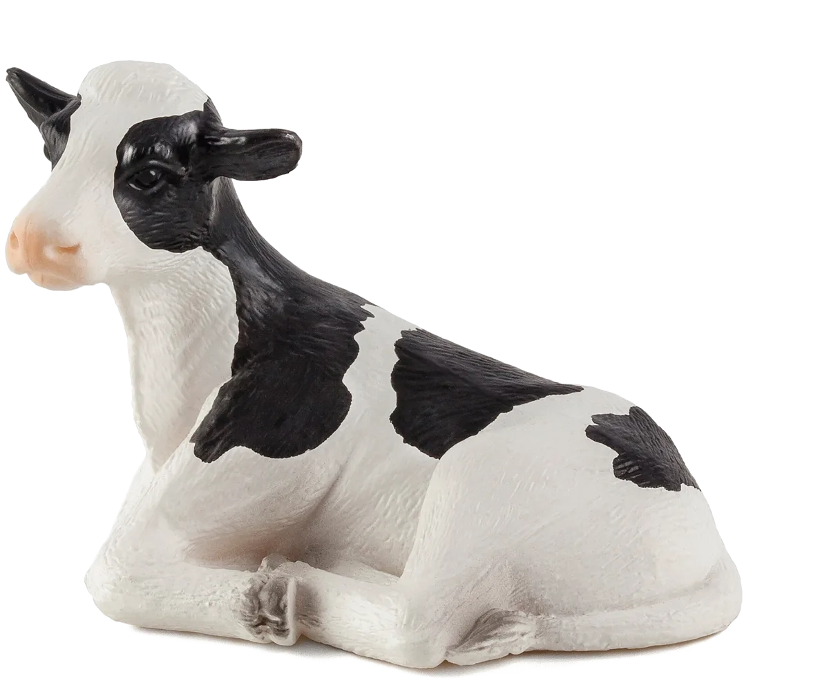 Mojo Holstein Kalb, Liegend - Bild 1