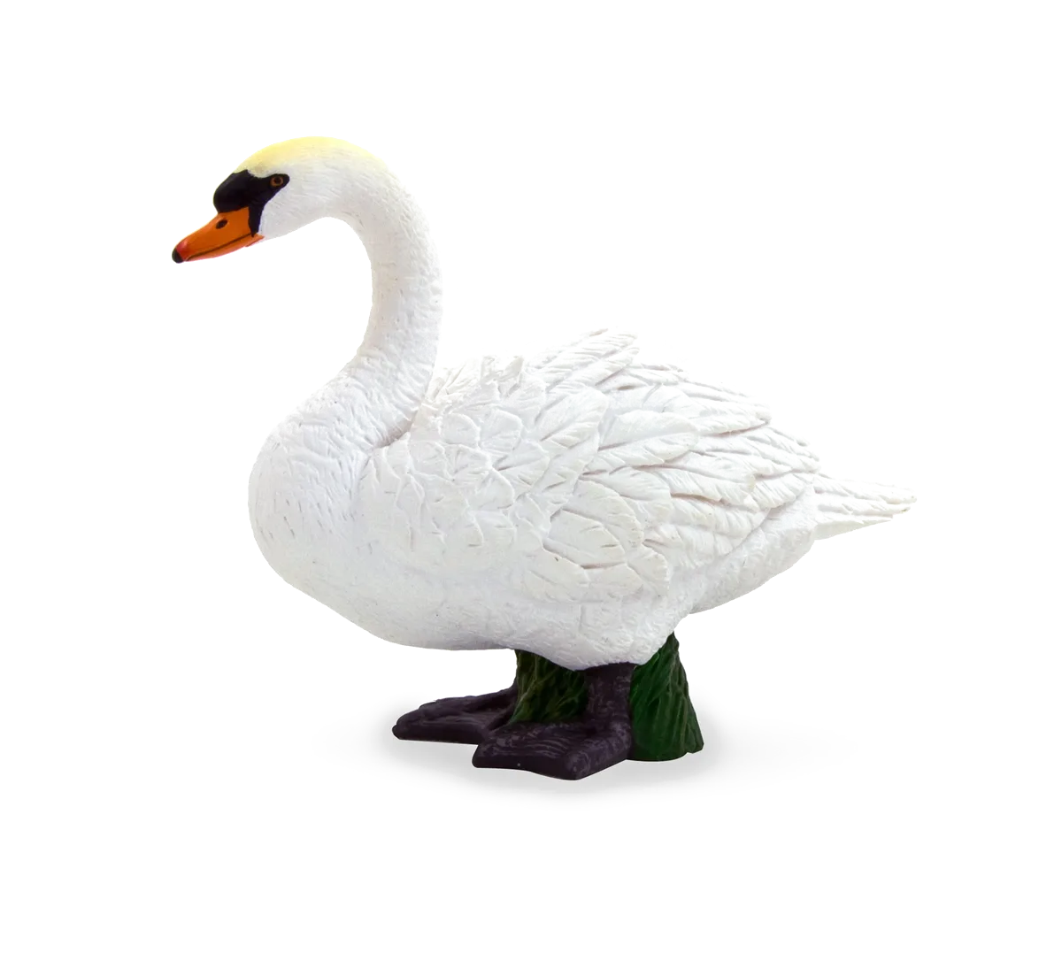 Mojo Höckerschwan - Bild 1