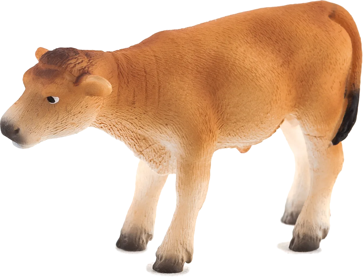 Mojo Jersey Kalb, Stehend - Bild 1