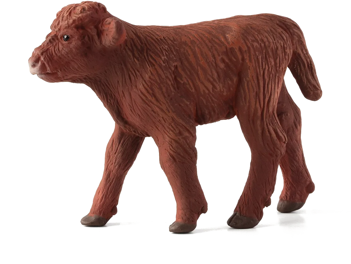 Mojo Schottisches Hochlandkalb - Bild 1