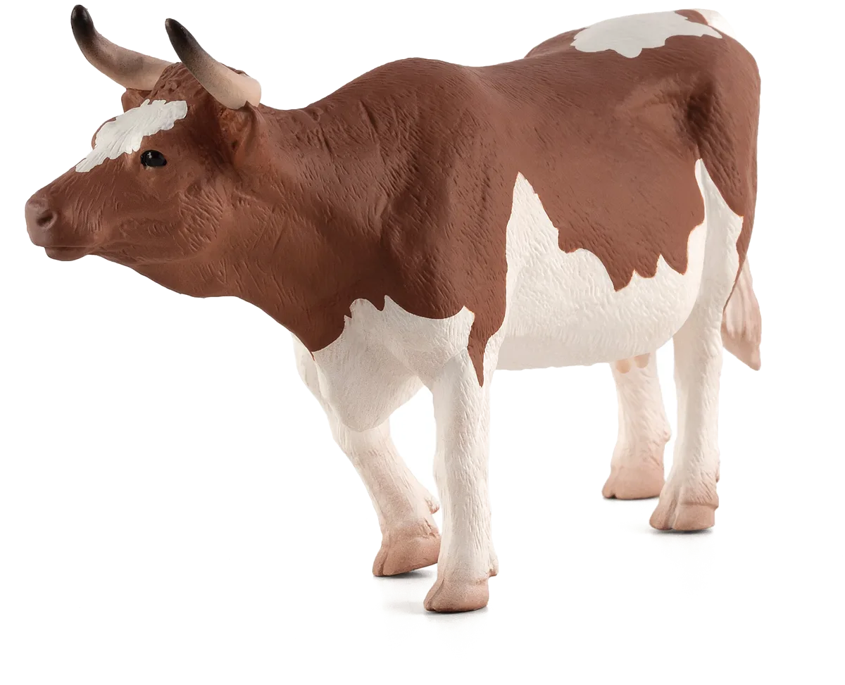 Mojo Simmentaler Kuh - Bild 1