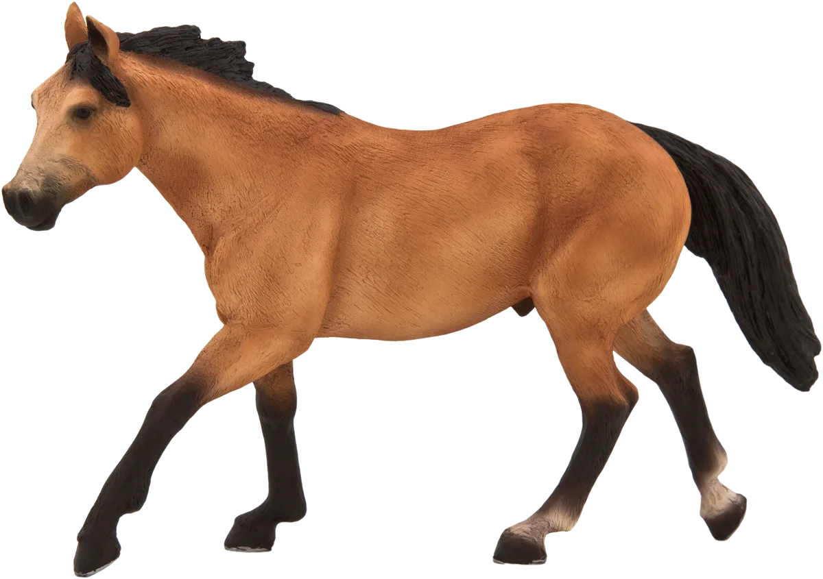 Mojo Buckskin Pferd - Bild 1