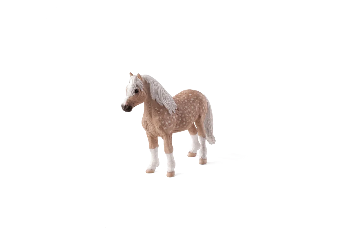 Mojo Welsh Pony - Bild 1