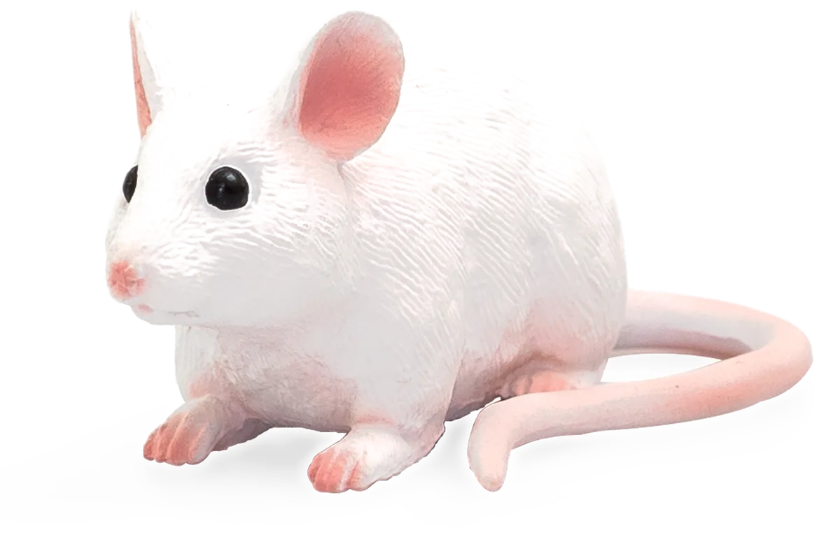 Mojo Maus - Bild 1