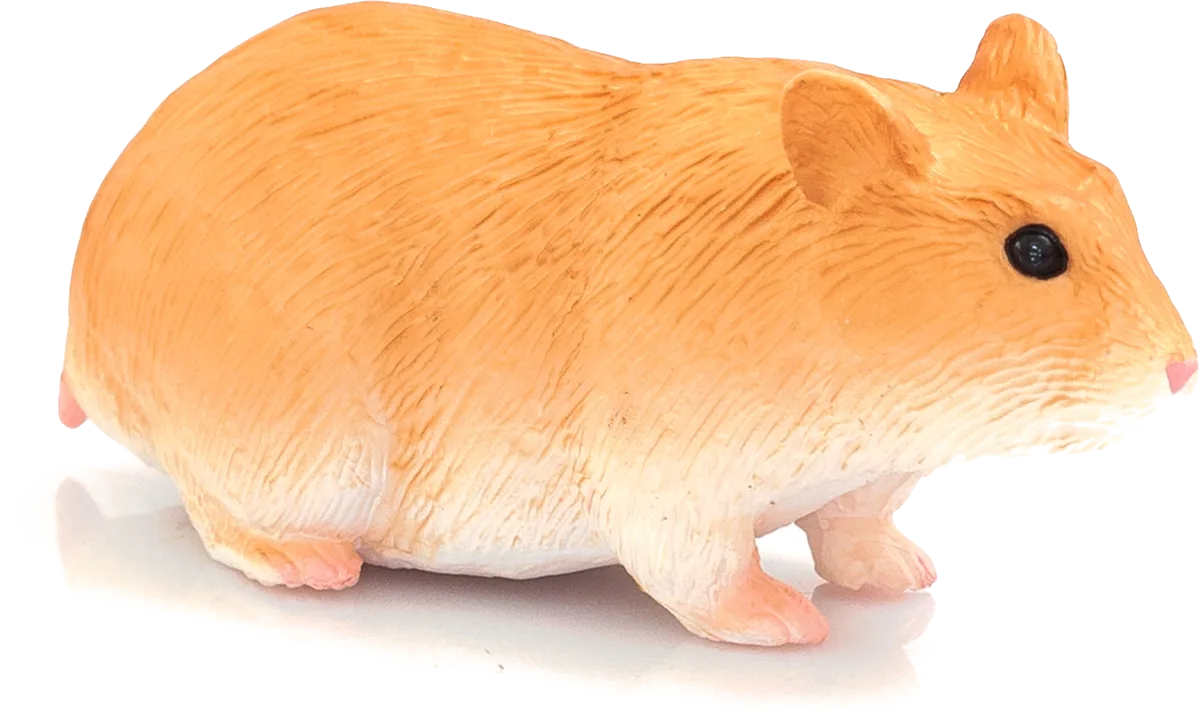 Mojo Hamster - Bild 1