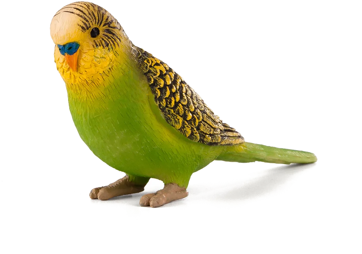 Mojo Meerschweinchen, Grün - Bild 1