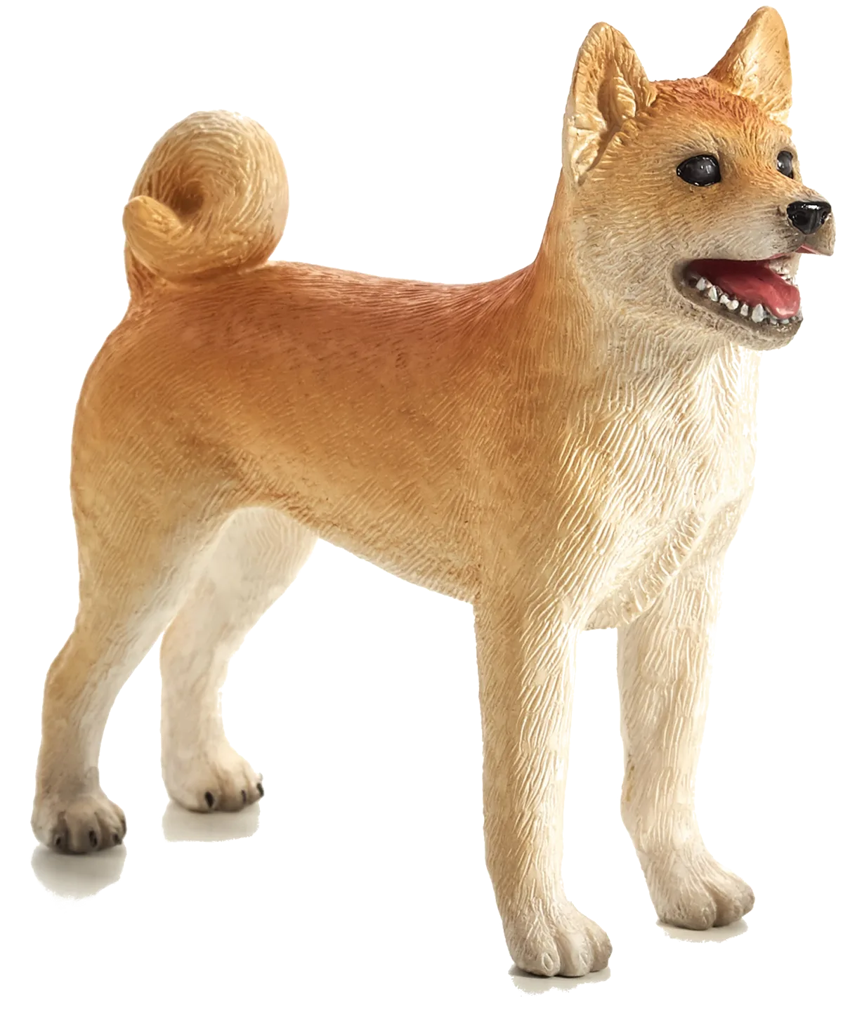 Mojo Shiba Hund - Bild 1