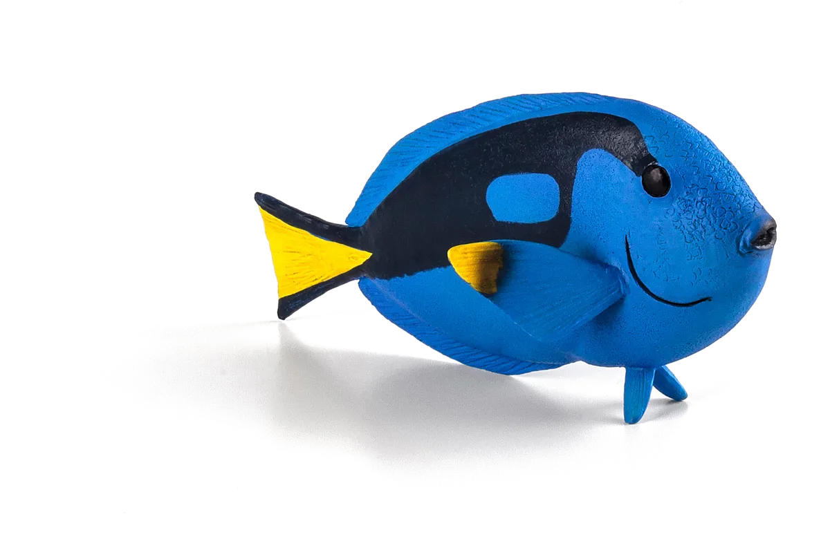 Mojo Paletten Doktorfisch Blau - Bild 1