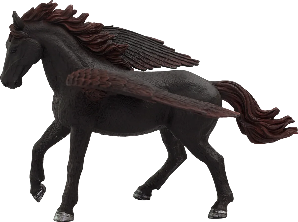 Mojo Pegasus, Schwarz - Bild 1