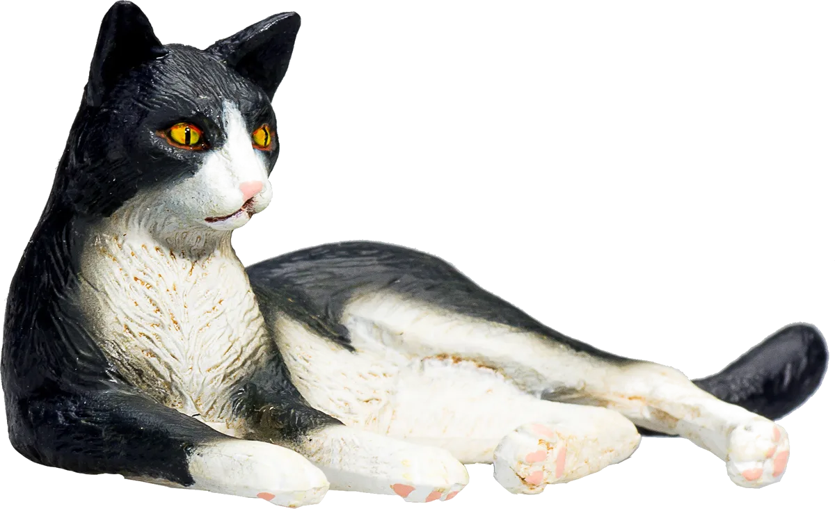 Mojo Katze, Schwarz/Weiß - Bild 1